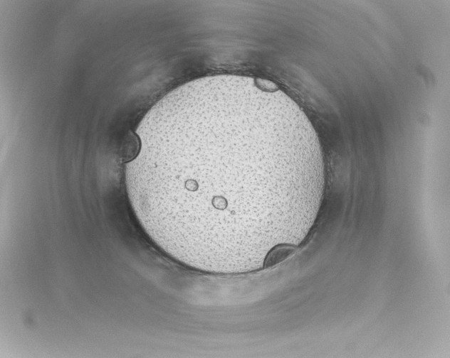 X0000115270033200911271955