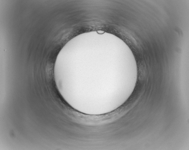 X0000115270034200911271955