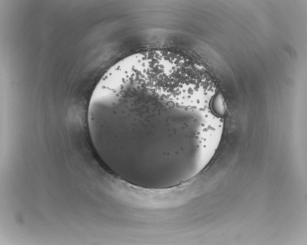 X0000115270035200911271955