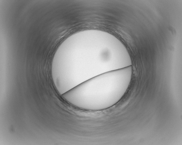 X0000115270036200911271955