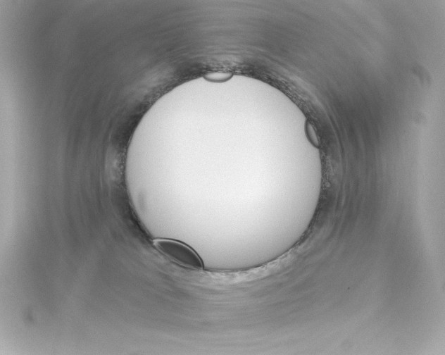 X0000115270037200911271955