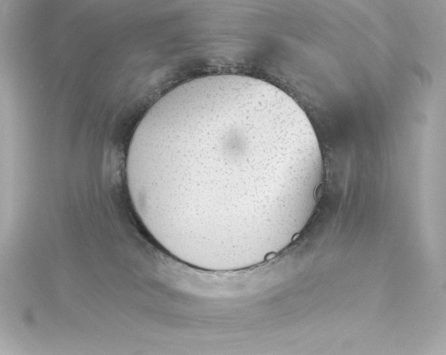 X0000115270038200911271955