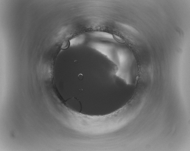 X0000115270039200911271955