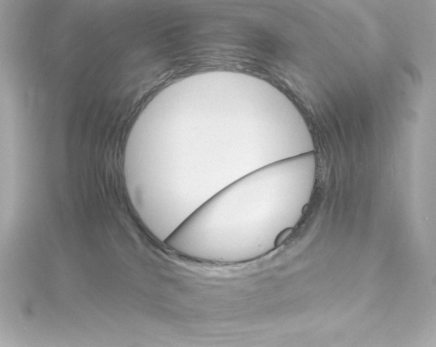 X0000115270040200911271955