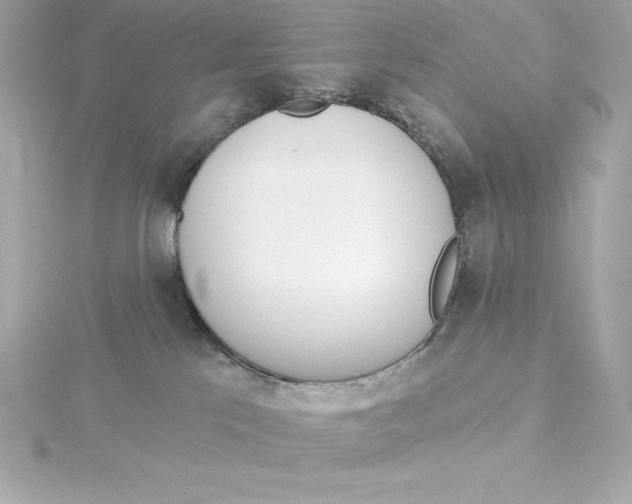 X0000115270041200911271955