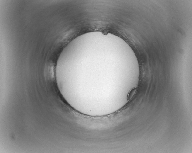 X0000115270042200911271955