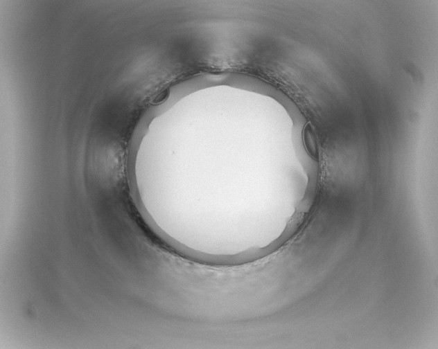 X0000115270043200911271955