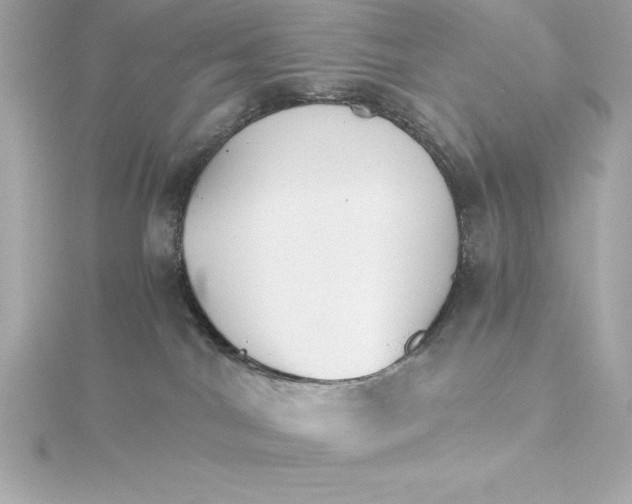 X0000115270044200911271955