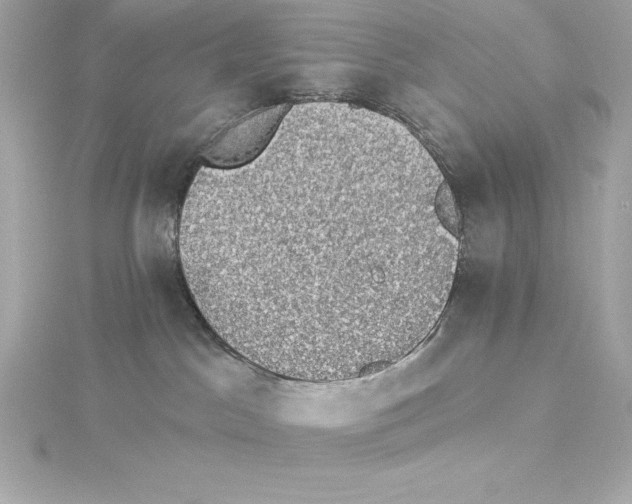 X0000115270045200911271955