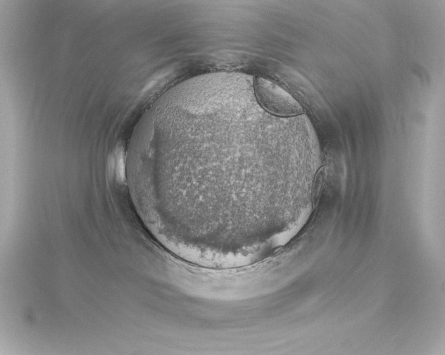 X0000115270046200911271955