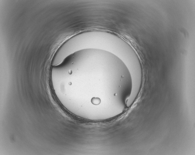 X0000115270049200911271954