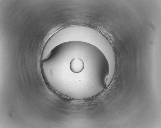 X0000115270051200911271954