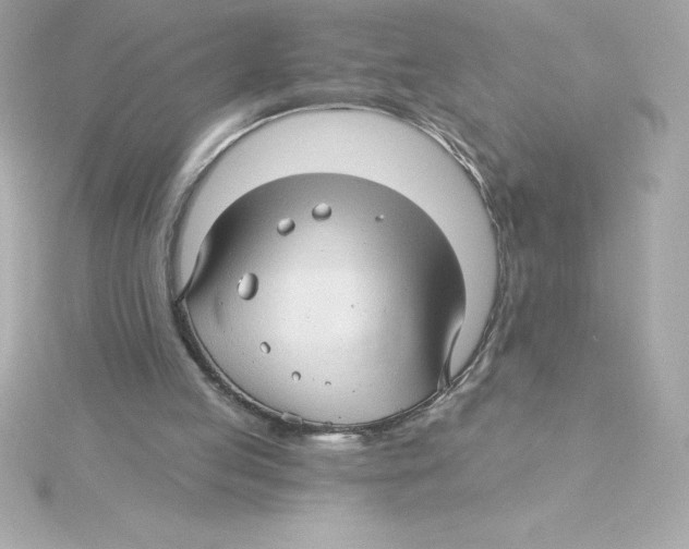 X0000115270053200911271954