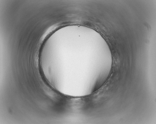 X0000115270054200911271954