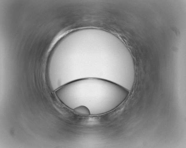 X0000115270056200911271954