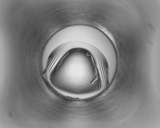 X0000115270057200911271954