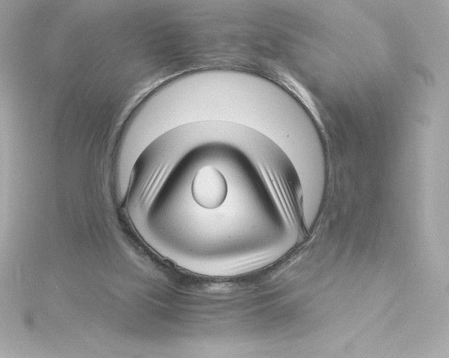 X0000115270059200911271954