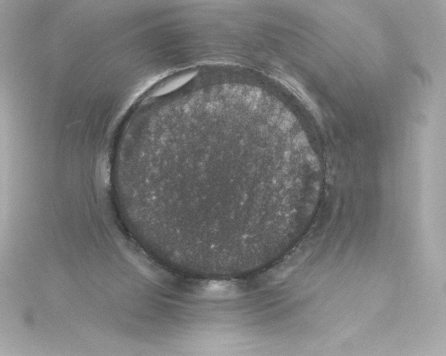 X0000115270060200911271954