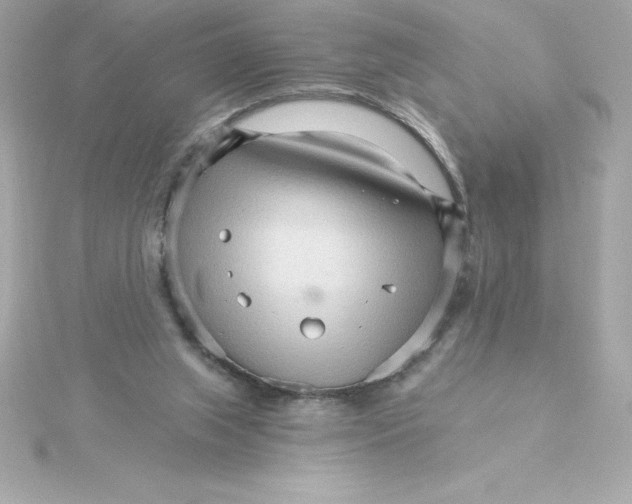 X0000115270063200911271954