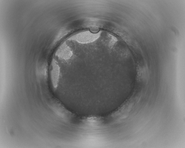 X0000115270064200911271954