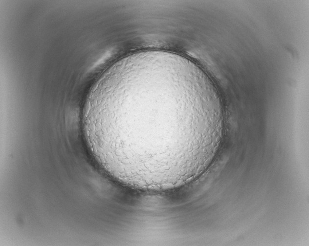 X0000115270066200911271954