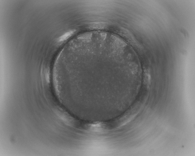 X0000115270068200911271954