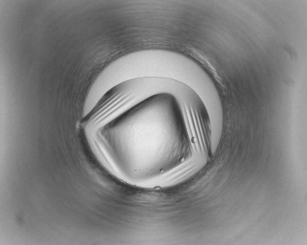 X0000115270069200911271954