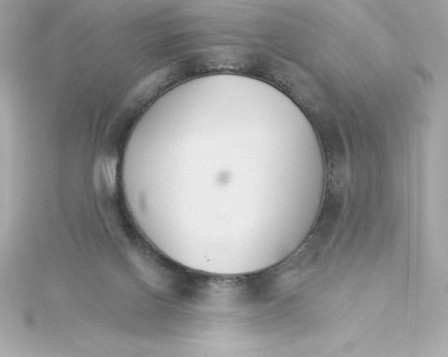 X0000115270070200911271954