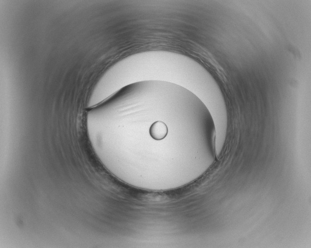 X0000115270073200911271954