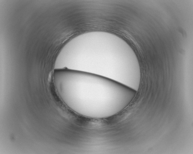 X0000115270076200911271954