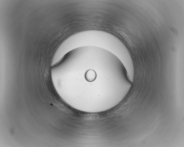 X0000115270077200911271954