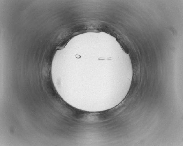 X0000115270078200911271954