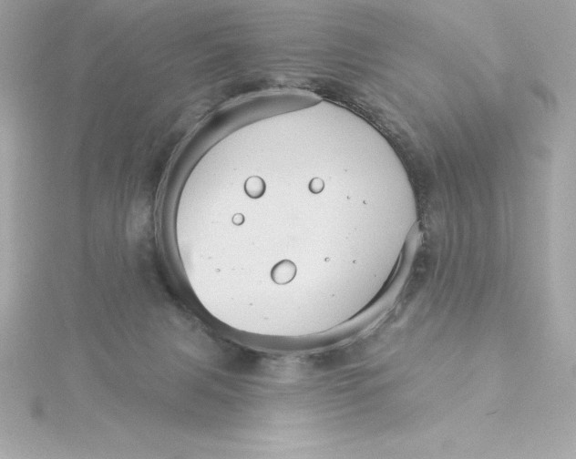 X0000115270079200911271954