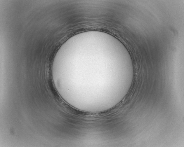 X0000115270080200911271954