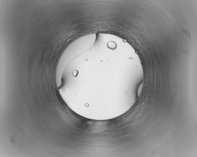 X0000115270081200911271954