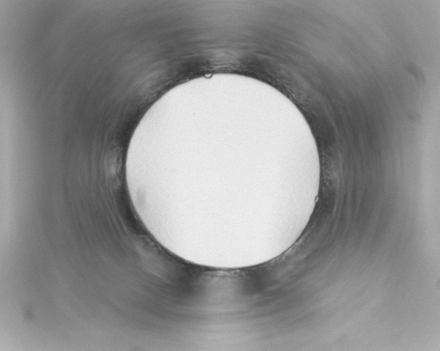 X0000115270082200911271954