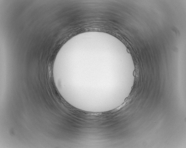 X0000115270086200911271954