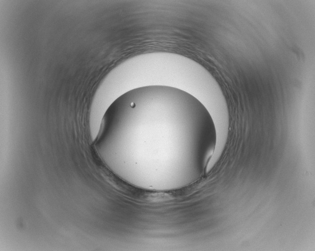 X0000115270087200911271954