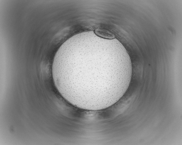 X0000115270088200911271954