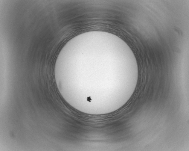 X0000115270091200911271955