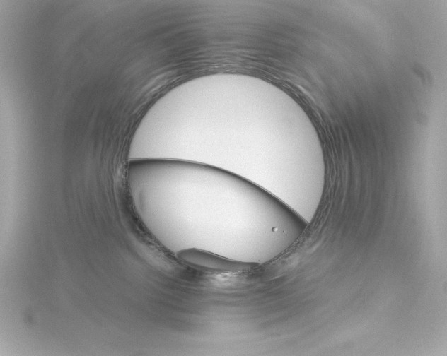 X0000115270092200911271955