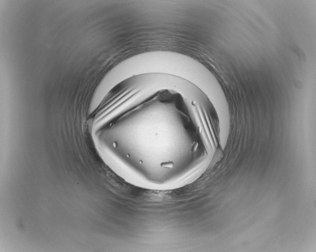 X0000115270093200911271955