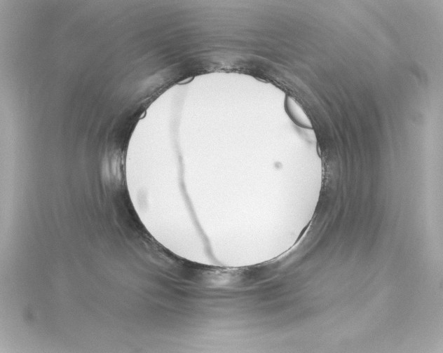 X0000115270094200911271955