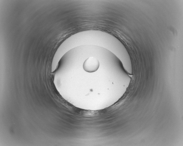 X0000115270096200911271955