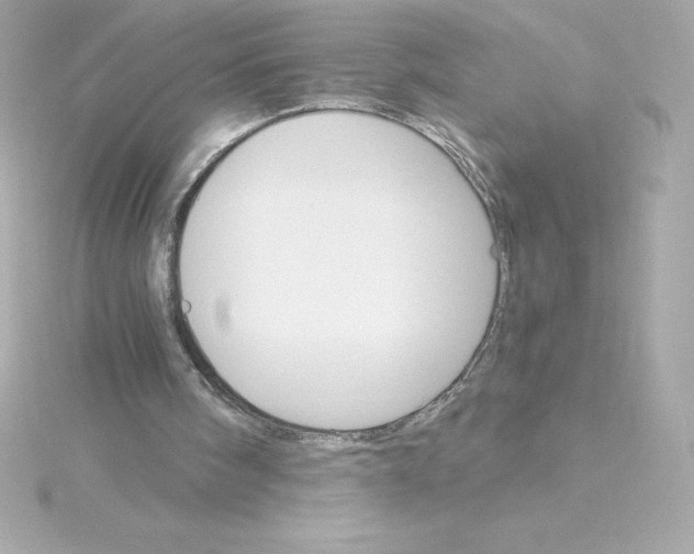 X0000115270098200911271954