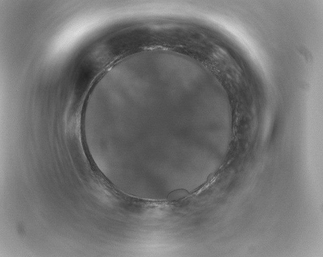 X0000115270099200911271954