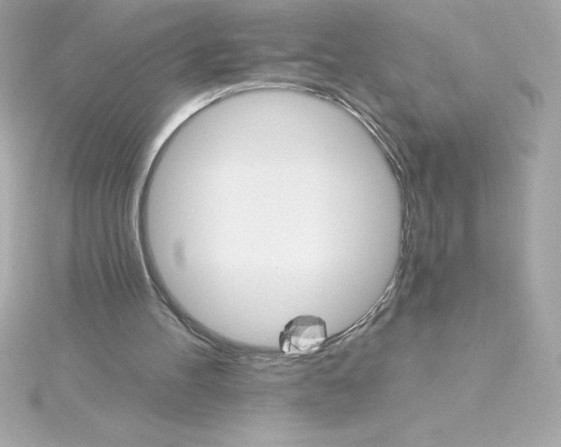 X0000115270100200911271954