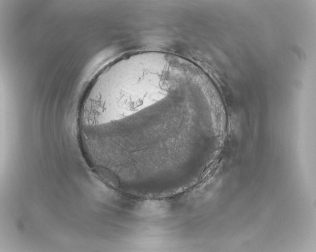 X0000115270101200911271954