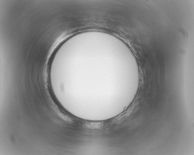 X0000115270102200911271954