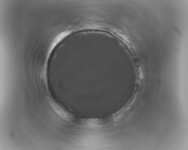 X0000115270104200911271954